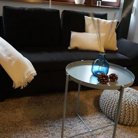 Apartman Ruhig 50 Qm Eigener Parkplatz Hasel, Loerrach, Basel *