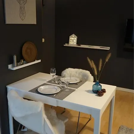 Ruhig 50 Qm Eigener Parkplatz Hasel, Loerrach, Basel Apartman Hasel