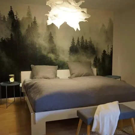 Ruhig 50 Qm Eigener Parkplatz Hasel, Loerrach, Basel Apartman Hasel